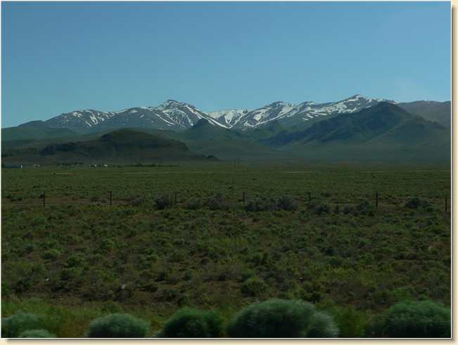 Nevada desert in the Spring