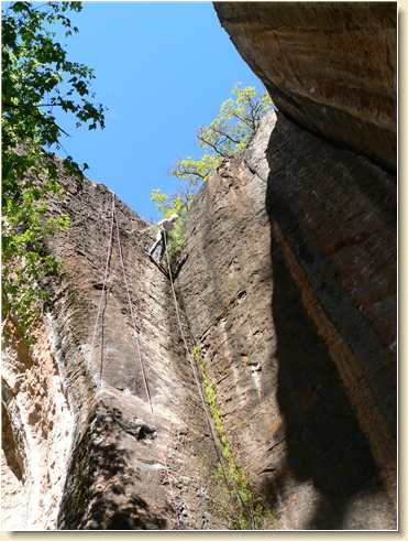 Sarah Ward rappelling face-down