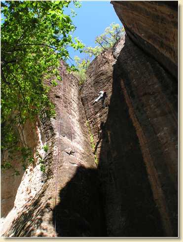 Heidi Hunt leaping outward while rappelling