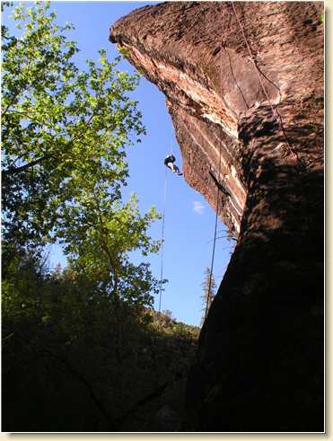 Linda Adams on the free-fall from below