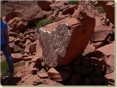 Interesting white layer on sandstone at Parriott Mesa