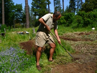 Jim Conrad hoeing the garden.