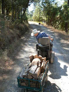 Fred in TracAbout hauling firewood