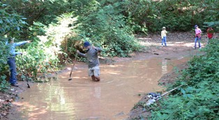 Mud puddle on road to Deer View