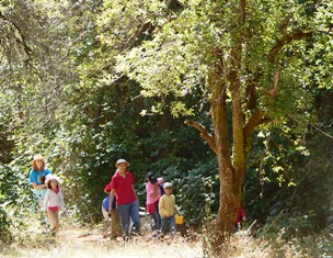 Picking berries at Deer View